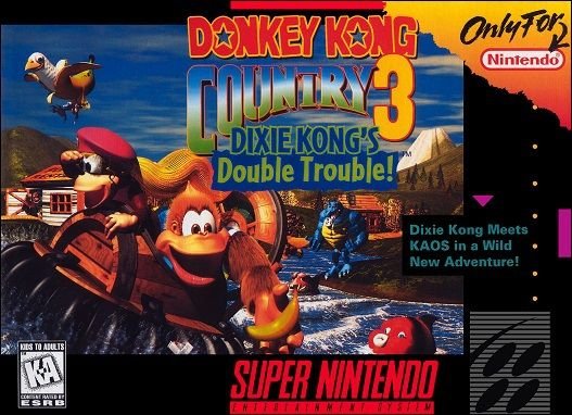 Donkey Kong Country Gameplay